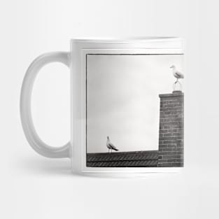 Three seagulls - Beadnell, Northumberland, UK Mug